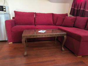 Апартамент-студио Б4-4-1 Божурленд