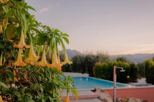 BioAgriturismo Antica Sena