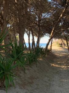 Appartamento ARIADIMARE fronte spiaggia Rivabella Gallipoli