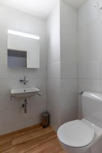 2BR flat close to lake, opera and city center - SF10