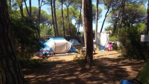 Camping Village IL SOLE - Empty Pitch Only - Solo Piazzole per la propria tenda o caravan