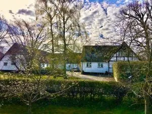 Hvidegaard Møn - Keldbylille