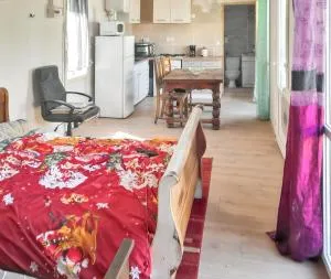 Studio confortable à Bellerive-sur-Allier 30 m² avec jardin - Charmeil