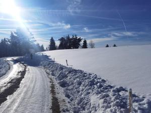 APARTMENTS ROGLA JURGOVO - Ski in Ski out