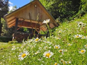 APARTMENTS ROGLA JURGOVO - Ski in Ski out