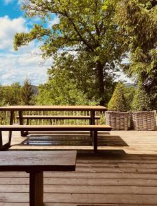 Le petit ours de Coo