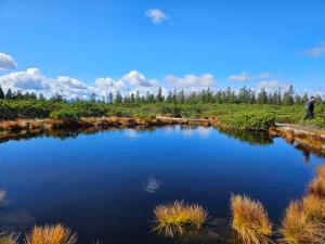 APARTMENTS ROGLA JURGOVO - Ski in Ski out