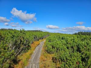 APARTMENTS ROGLA JURGOVO - Ski in Ski out