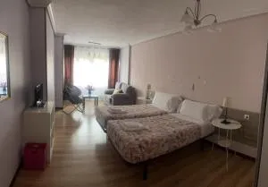 Alojamientos Olga - Pamplona