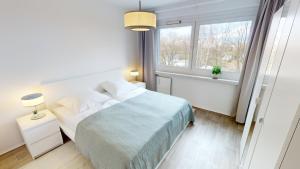 3-Raum-Appartement im Chemnitzer Süden, WLAN