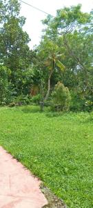 Coconut Breeze Villa