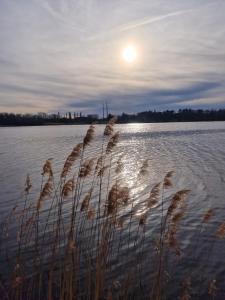 Appartements Le Valentina - Chambres au pied du lac et du metro : photos des chambres