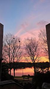 Appartements Le Valentina - Chambres au pied du lac et du metro : photos des chambres