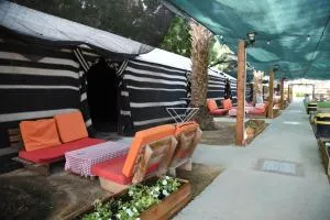 חאן שירת הערבה - Zuqim