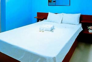 Jeanines Travellers Inn by RedDoorz