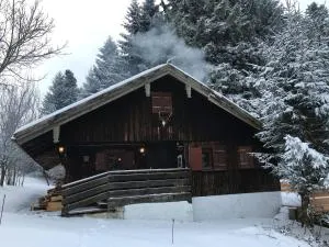 Tobleralpe - Oberreute Selbstversorgerhütte mit viel Komfort - ويلر-سيمربيرغ