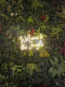 Jungle Room - Atypique - Spacieux - WIFI - TV 4K - Vue Sur Ville - Confort