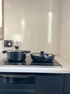 Crystal Flame Lodge Miyoshi 4