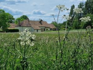Gîte de la Saussaie - Au four & au moulin