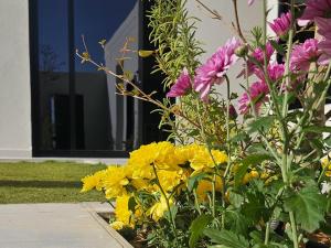 شاليه دار هوم ببريده