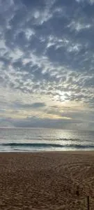 Jardim Container - Estaleiro