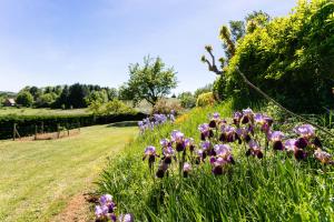 Gite Du Bois Du Pech