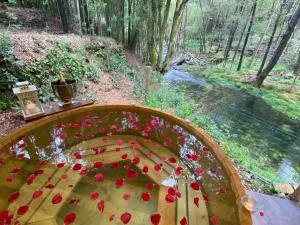 Wild Glamping Portugal - relax by Serra de Arga waterfalls in Viana do Castelo with hot tub - Carotes