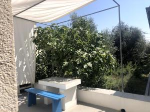 House CresWien 01 Martinšćica