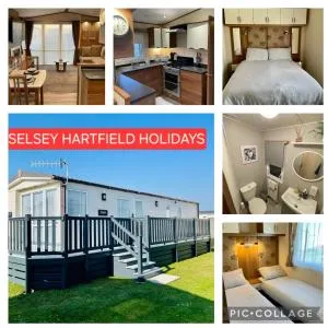 Beach Daze - 塞尔西