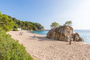 Apartment Oli - Lloret de Mar