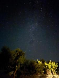 Habitación en Cabaña compartida