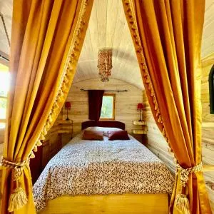 Roulotte insolite en pleine forêt- Domaine Temali - Escource