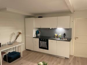 Central aparment in Ålesund city