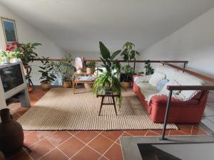 Panorami sul Trasimeno