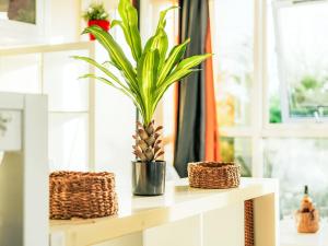 Appartements Apartment Les Balcons de la Rance by Interhome : photos des chambres