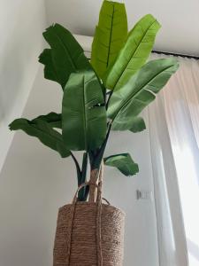 Kennedy Family Apts img89