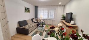 Šiauliai Central Vytauto Apartment