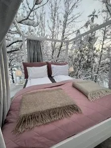 Northen Light Igloo - Eyja Mörk South Coast Iceland - Hólmabæir