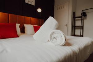 Elegant City Apartment-Sleeps 4-Sofa Bed- Free Parking