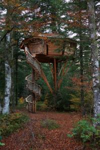 Chalets Cabanes des Volcans : photos des chambres