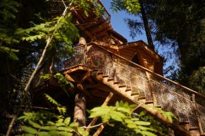Chalets Cabanes des Volcans : photos des chambres