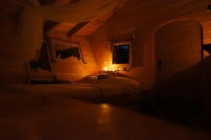 Chalets Cabanes des Volcans : photos des chambres