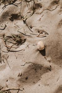 La Cabane du Mas Andalou Plage première ligne de mer