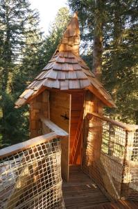 Chalets Cabanes des Volcans : photos des chambres