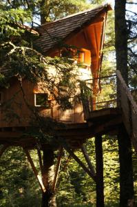 Chalets Cabanes des Volcans : Chalet 1 Chambre