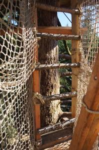 Chalets Cabanes des Volcans : photos des chambres