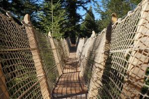 Chalets Cabanes des Volcans : photos des chambres