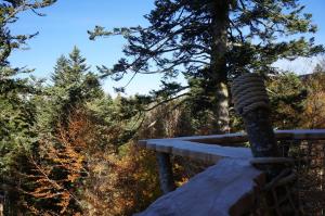 Chalets Cabanes des Volcans : Chalet 1 Chambre