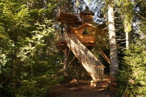 Chalets Cabanes des Volcans : photos des chambres