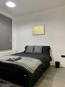 Modern 5 bedroom house - Enfield